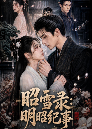昭雪录：明昭纪事（20集）在线播放