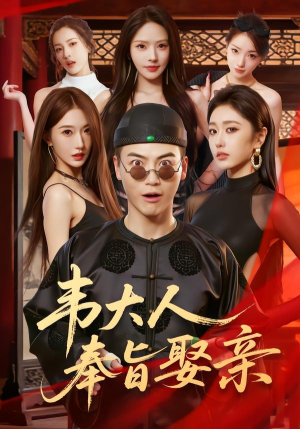 韦大人奉旨娶亲（81集）全部免费看全集