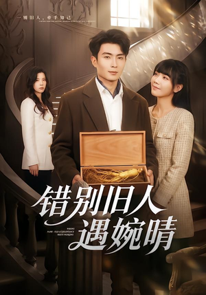 错别旧人遇婉晴（79集）演员表