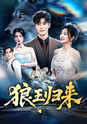 狼王归来（51集）短剧太好看了吧