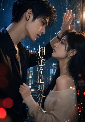 相逢皆是劝分人（57集）在哪个平台看