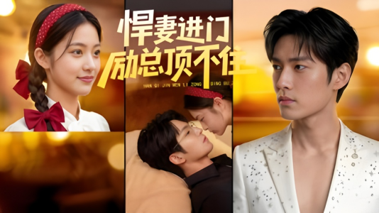 悍妻进门励总顶不住1080P（55集）在线看