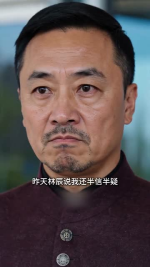 虎婿下山(80集) 虎婿下山(80集)一起追生活短剧
