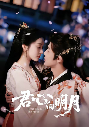 君心向明月（60集）全剧免费观看