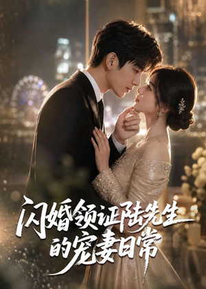 闪婚领证陆先生的宠妻日常（72集）好看短剧追不停