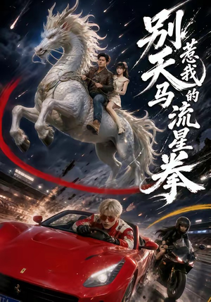 别惹我的天马流星拳(40集) 别惹我的天马流星拳(40集)360网盘观看