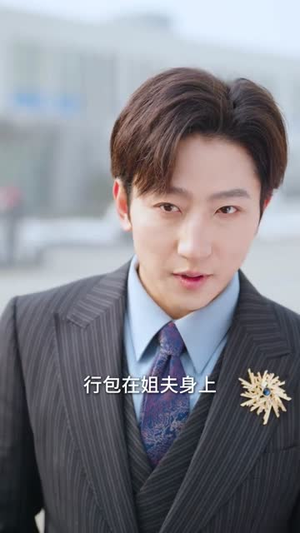 破局从一场领证开始（81集）全集免费
