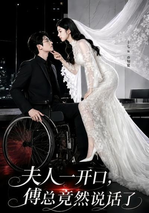 夫人一开口，傅总竟然说话了（60集）热播短剧全集看
