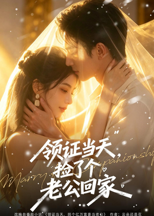 领证当天，捡了个老公回家（80集）独家资源免费看