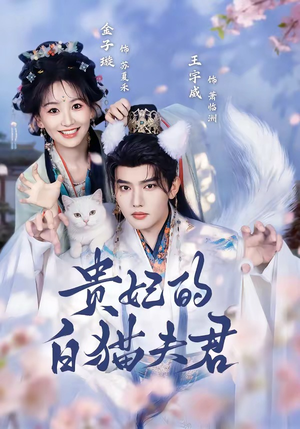 贵妃的白猫夫君（81集）在线播放