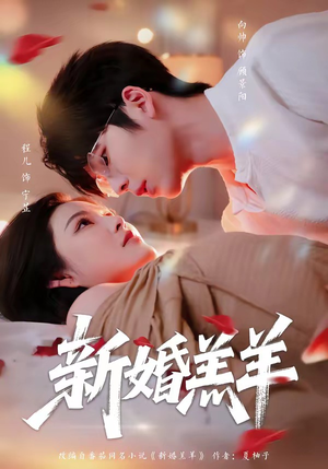 新婚羔羊（89集）爆款热门短剧