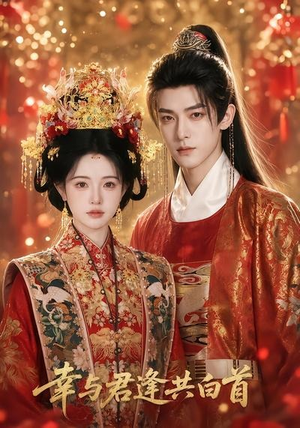 幸与君逢共白首（79集）全季一次看完