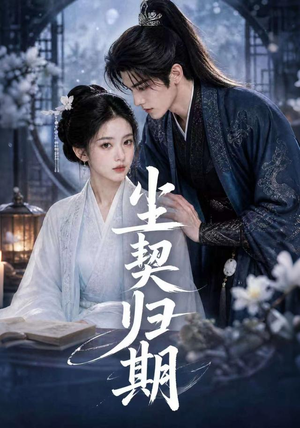 尘契归期（63集）精彩不断免费看