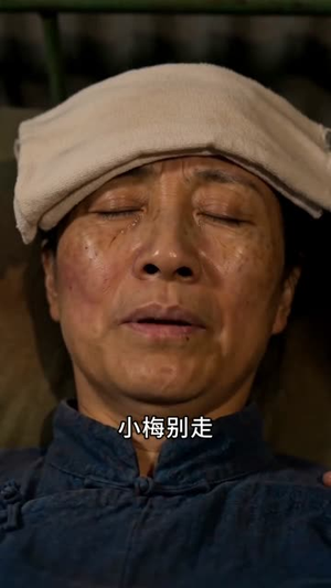 远赴西北，绽放半生锋芒（59集）免费看