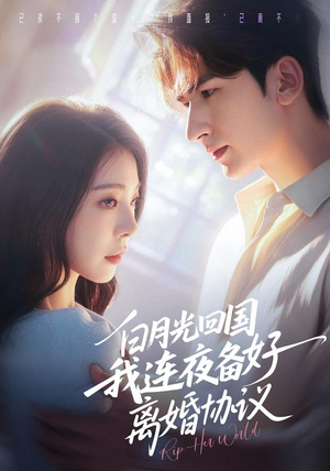 白月光回国我连夜备好离婚协议（80集）全集免费观看