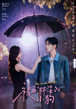 被雨淋湿的小狗（80集）爆火短剧追不停
