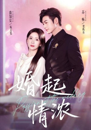 婚起情浓(99集) 婚起情浓(99集)短剧追不停
