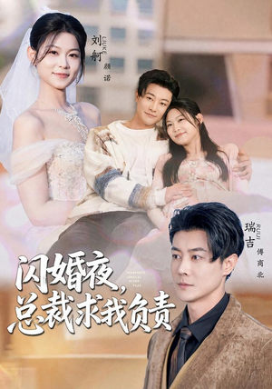 闪婚夜，总裁求我负责（80集）河马免费短剧