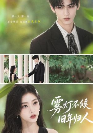 雾灯不候旧年归人（50集）免费热门短剧