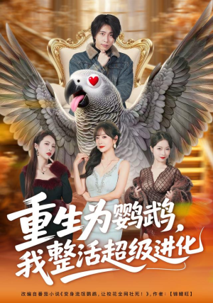 重生为鹦鹉，我整活超级进化（70集）热播短剧追不停