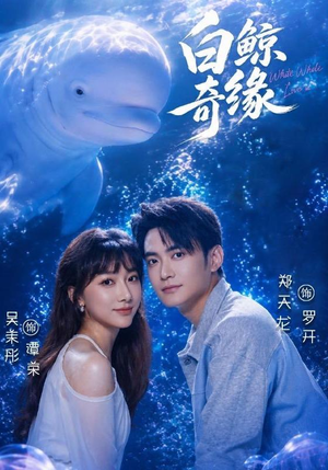 白鲸奇缘（52集）短剧演员排行榜