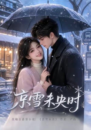 京雪未央时(100集) 京雪未央时(100集)全集下载