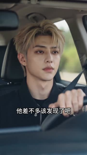 我在离婚综艺换乘恋爱（40集）分享热门短剧