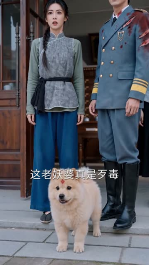 灵犬携福来，旺遍上海滩（80集）在哪个app能看