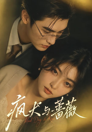 疯犬与蔷薇（48集）好看吗