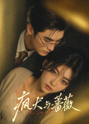 疯犬与蔷薇（50集）短剧演员排行榜