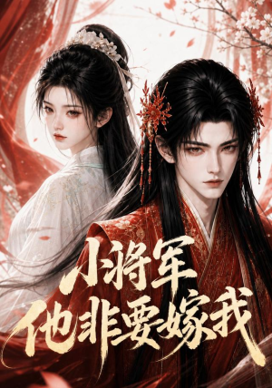 小将军他非要嫁我（44集）80到100集