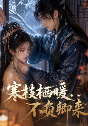 寒枝栖暖，不负卿来（50集）免费观看全集