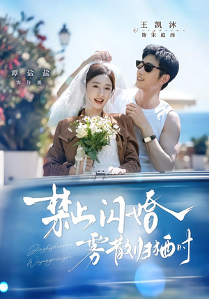 禁止闪婚，雾散归栖时（66集）直接追到结尾