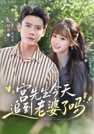 宫先生今天追到老婆了吗（73集）全网独播免费看