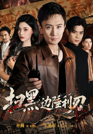扫黑：边陲利刃（73集）热门短剧推荐