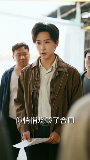 年代：林峰寻妻记（95集）短剧分享片段