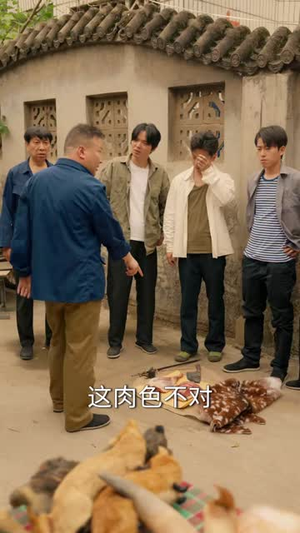 我靠系统在七零逆袭（80集）经典老剧免费看